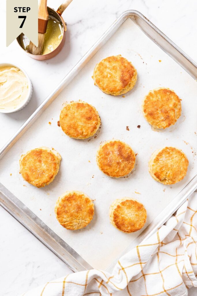 The Best Buttermilk Biscuits Wyse Guide