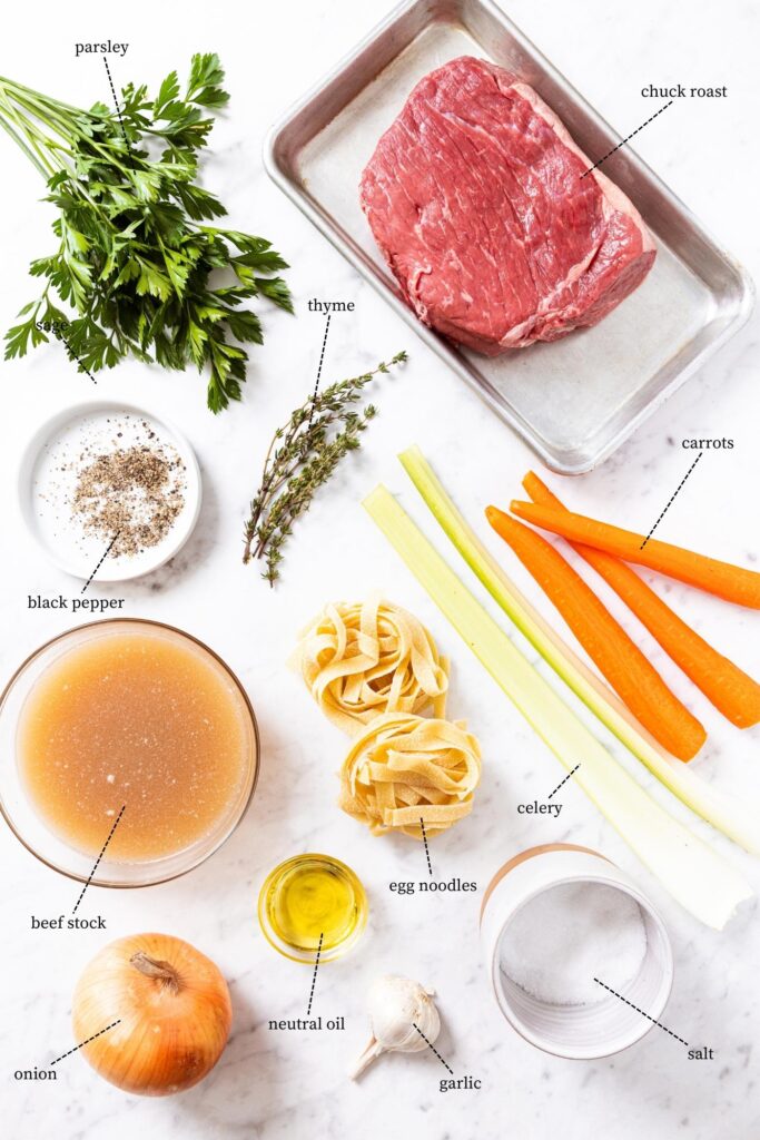 The Best Beef and Noodles Wyse Guide