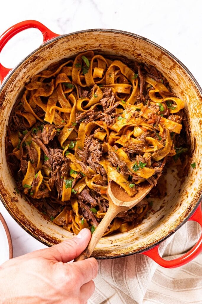 The Best Beef and Noodles Wyse Guide