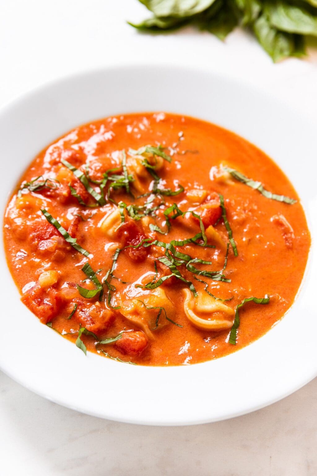 Tomato Tortellini Soup Wyse Guide