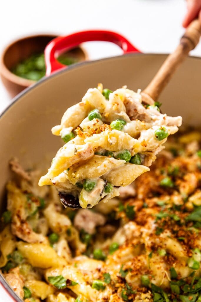 One Pot Stovetop Tuna Noodle Casserole Wyse Guide