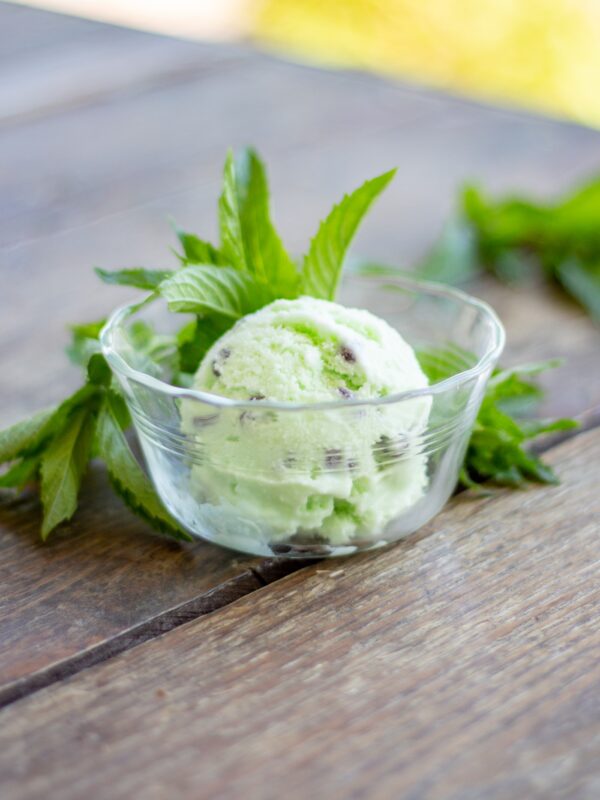 A scoop of mint chocolate chip ice cream sits in a dish with mint leaves.