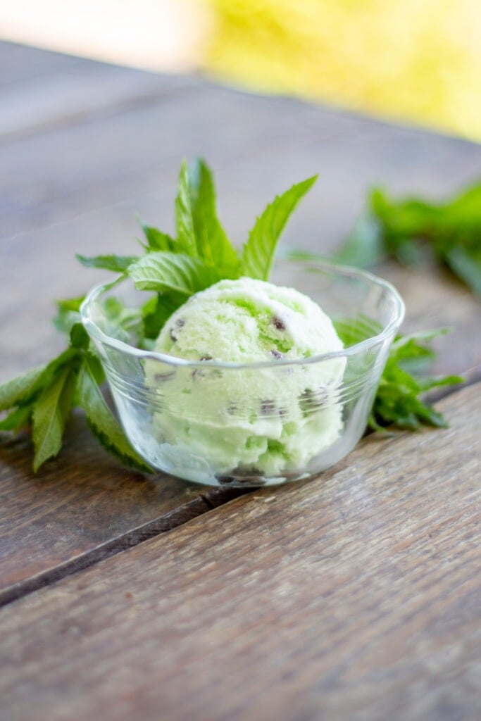 A scoop of mint chocolate chip ice cream sits in a dish with mint leaves.