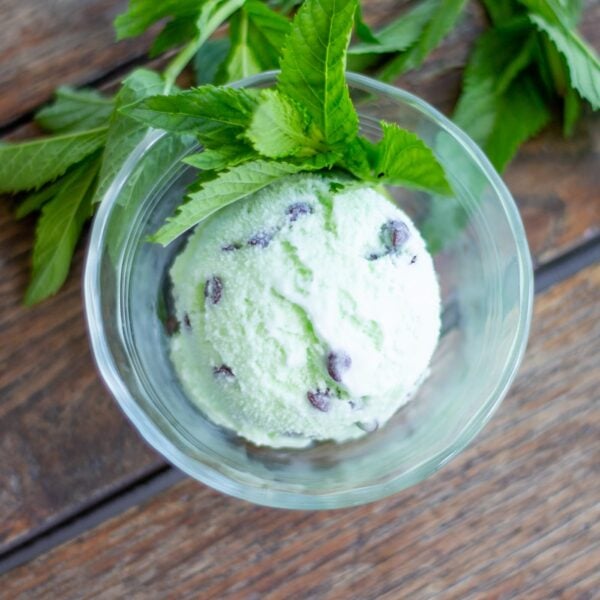 A scoop of mint chocolate chip ice cream sits in a glass dish with mint leaves.