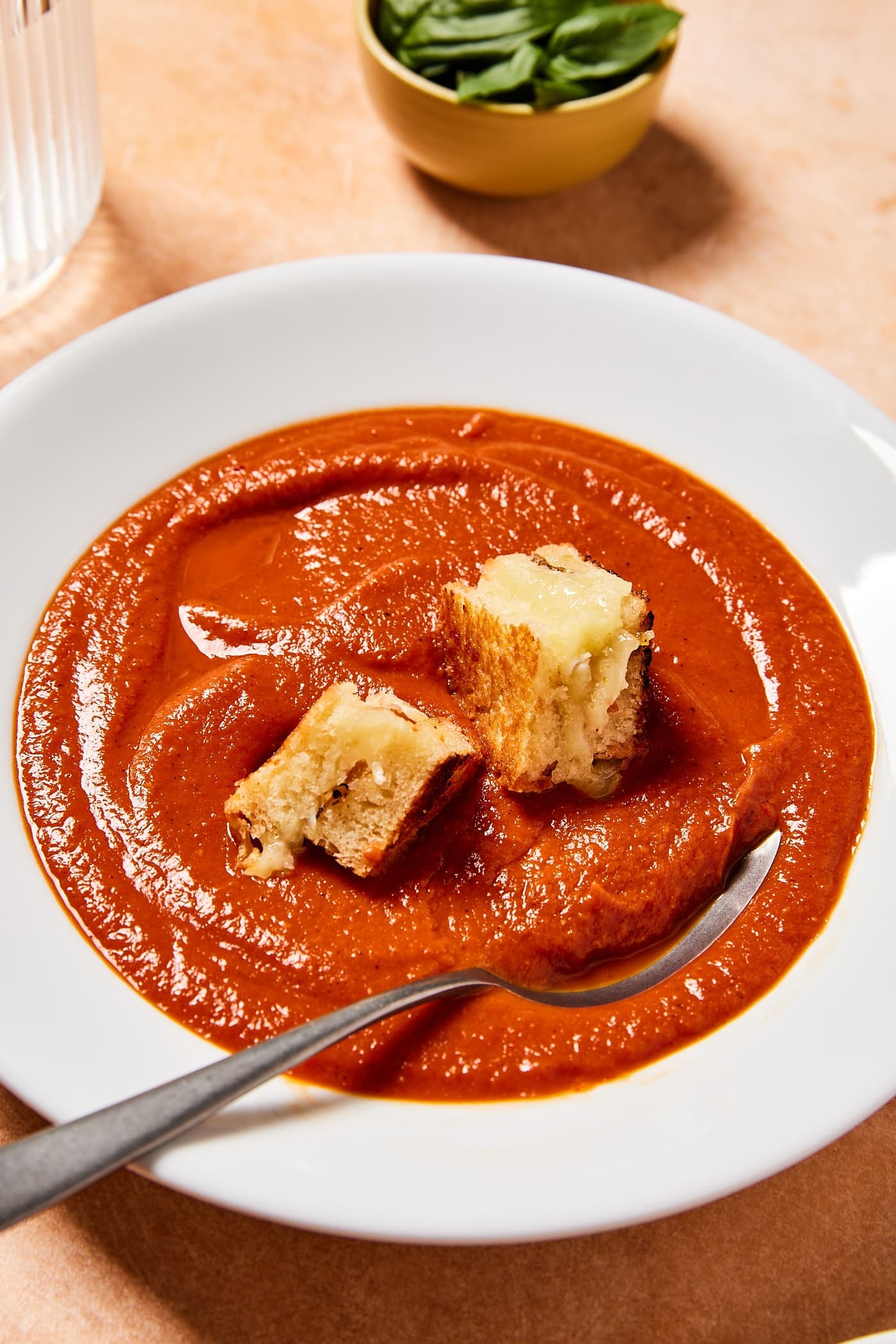 Immersion Blender Roasted Tomato Soup — Y Delicacies