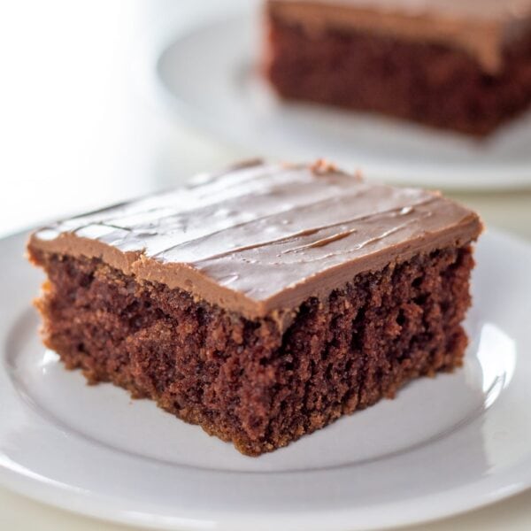 A slice of chocolate cake sits on a plate.