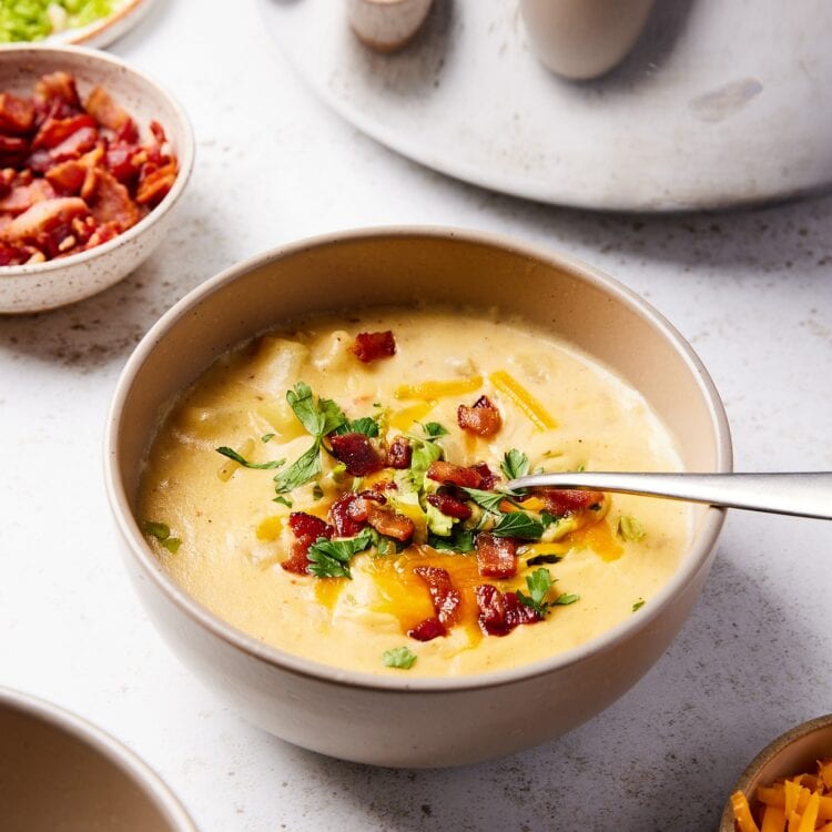 Ham & Potato Chowder Wyse Guide