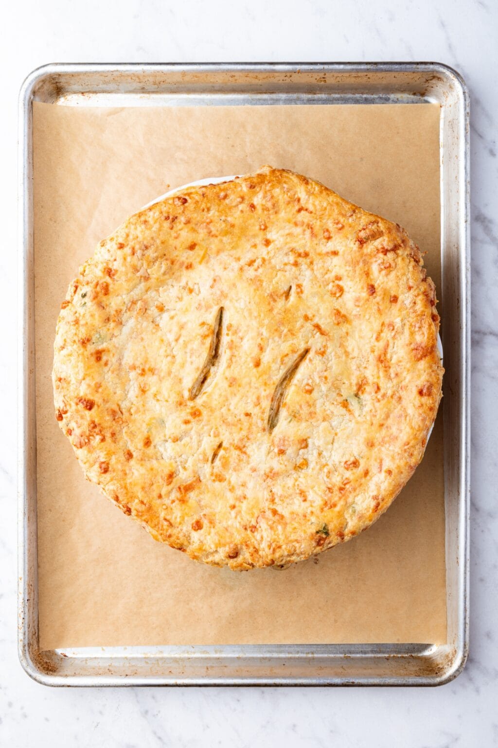 Chicken Pot Pie with Cheddar Crust - Wyse Guide