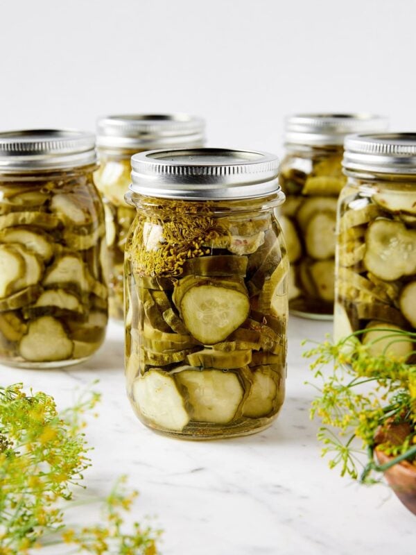 Pint jars filled with canned dill pickles sitting on white marble surface with fresh dill weed around.
