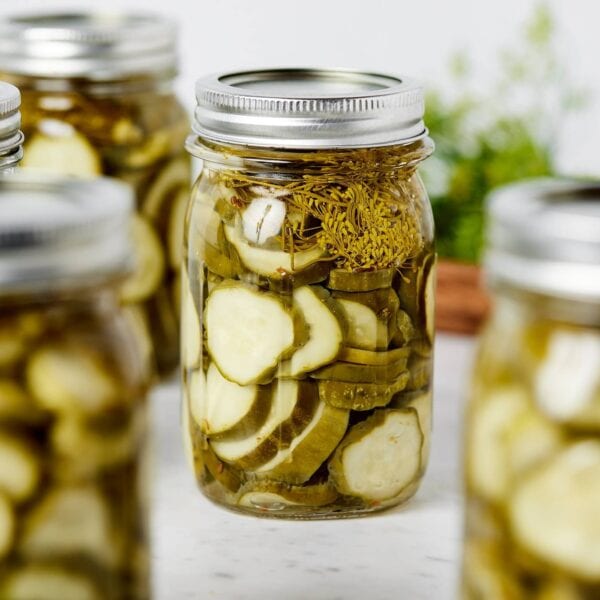 Jars filled with dill pickles with lids and rings on top all on white surface.