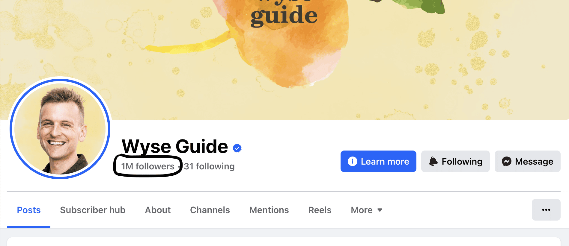 Screenshot of Wyse Guide Facebook Page showing follower count.