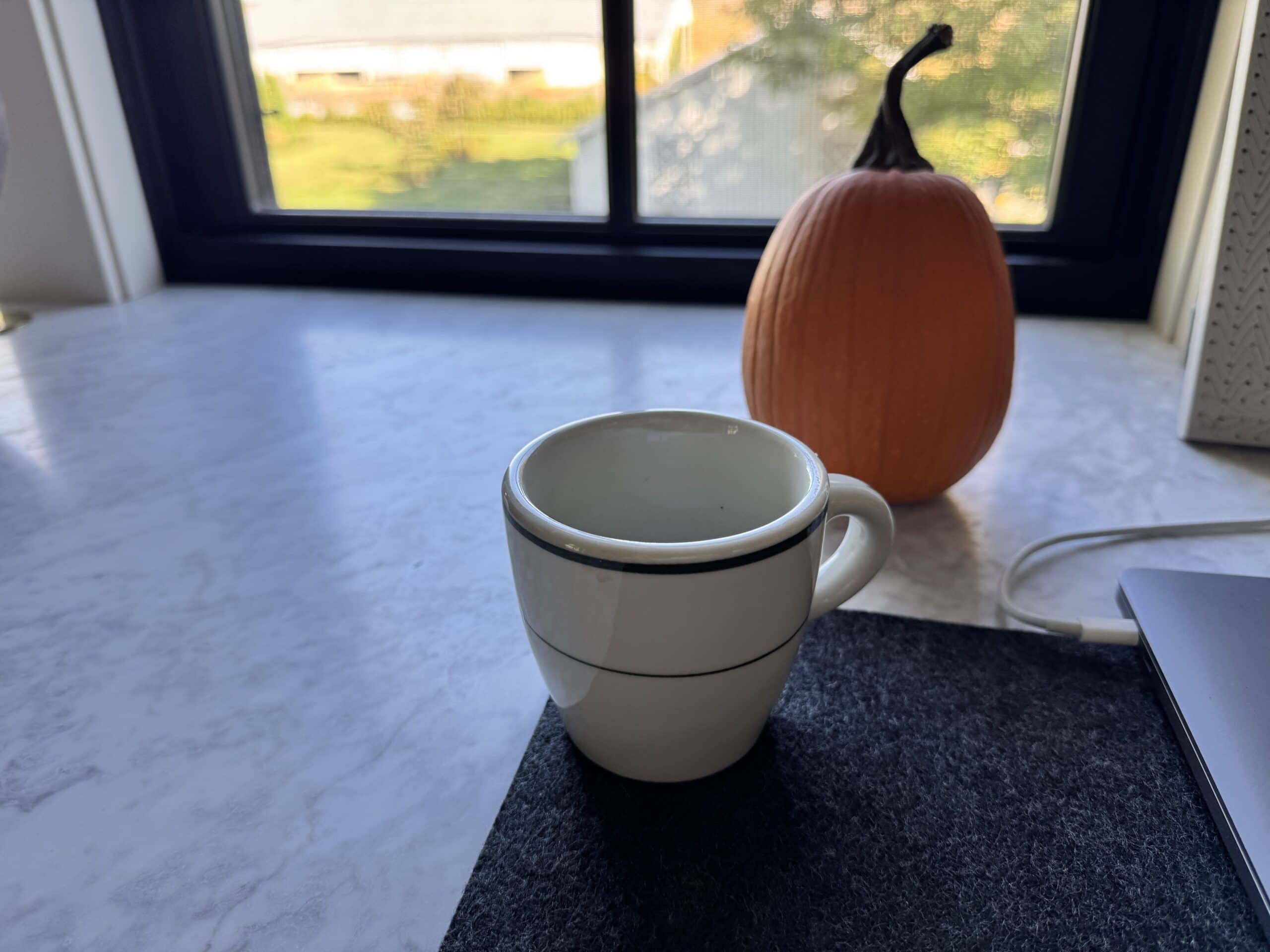 White mug sitting on a desk with the view of a backyard outside.