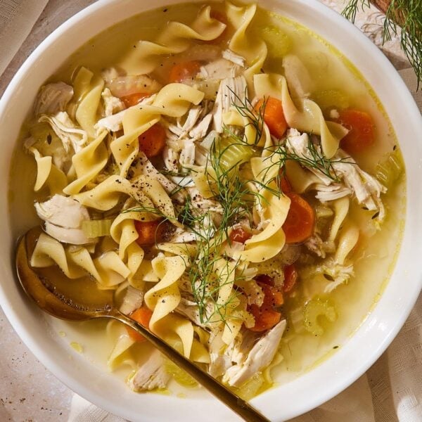 White bowl with spoon scooping up chicken noodle soup with carrots and pieces of chicken.