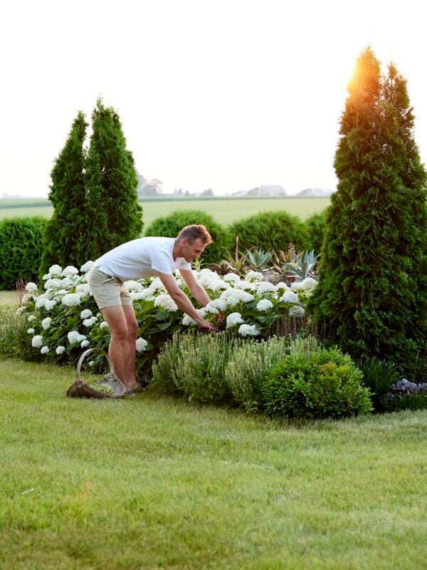 Kaleb Wyse picking white hydrangeas from his yard.