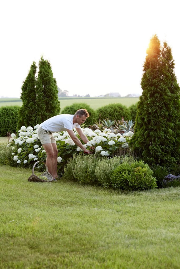 Kaleb Wyse picking white hydrangeas from his yard.