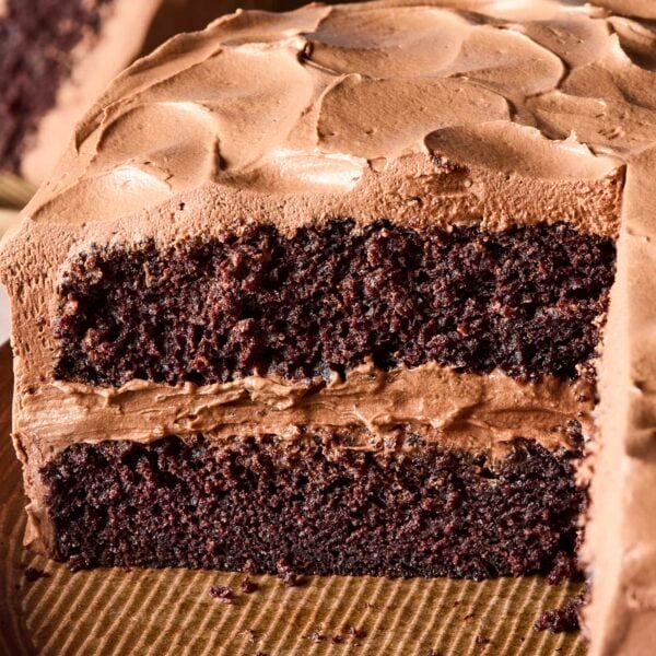 Chocolate cake with two layers with frosting in between the layers.