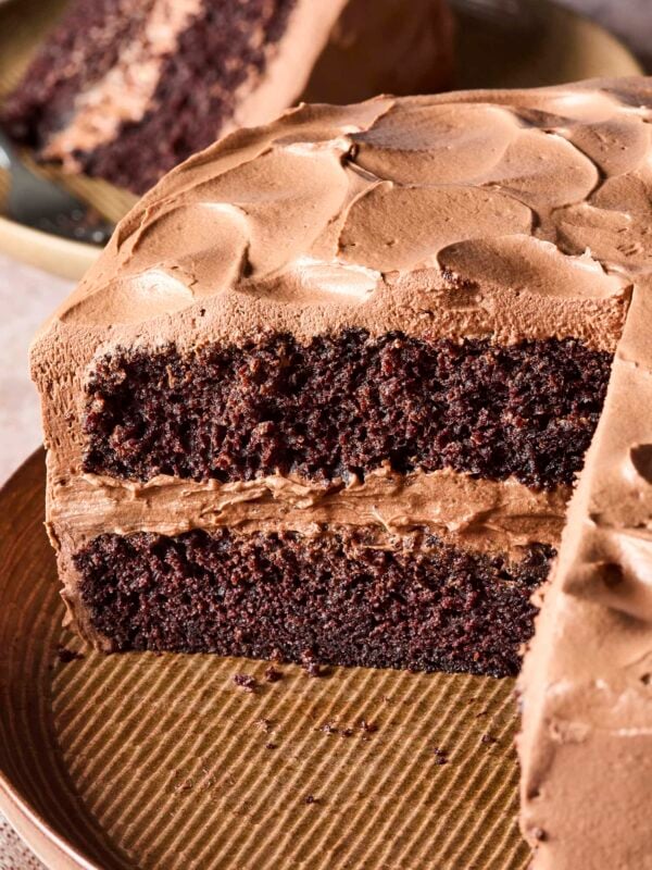 Chocolate cake with slices taken out showing interior layers with frosting in between.