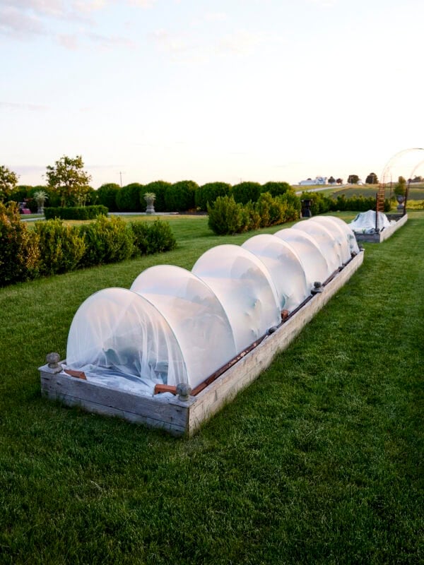 Garden bed with row cover on top.