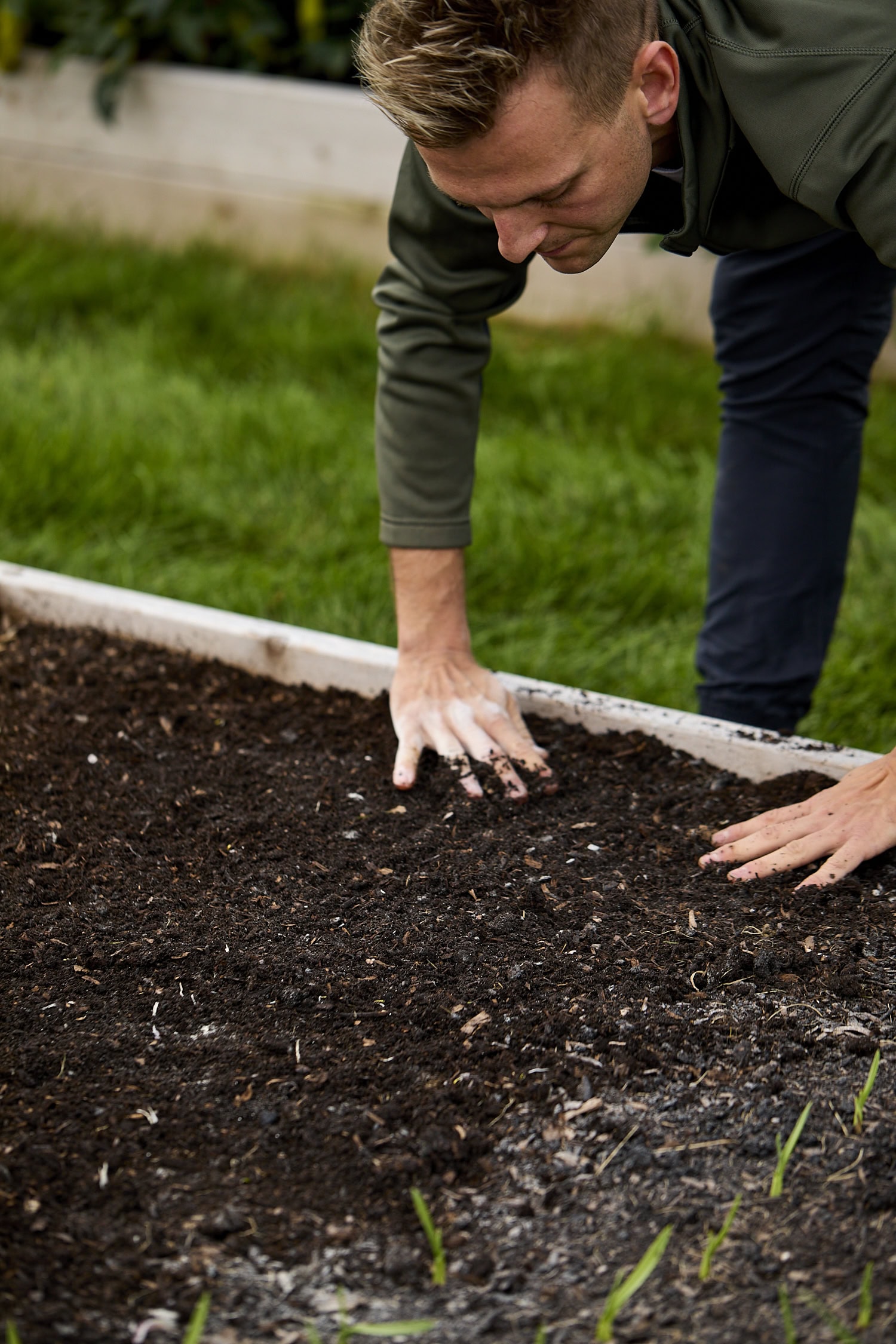 Covering up planted garlic cloves with soil.