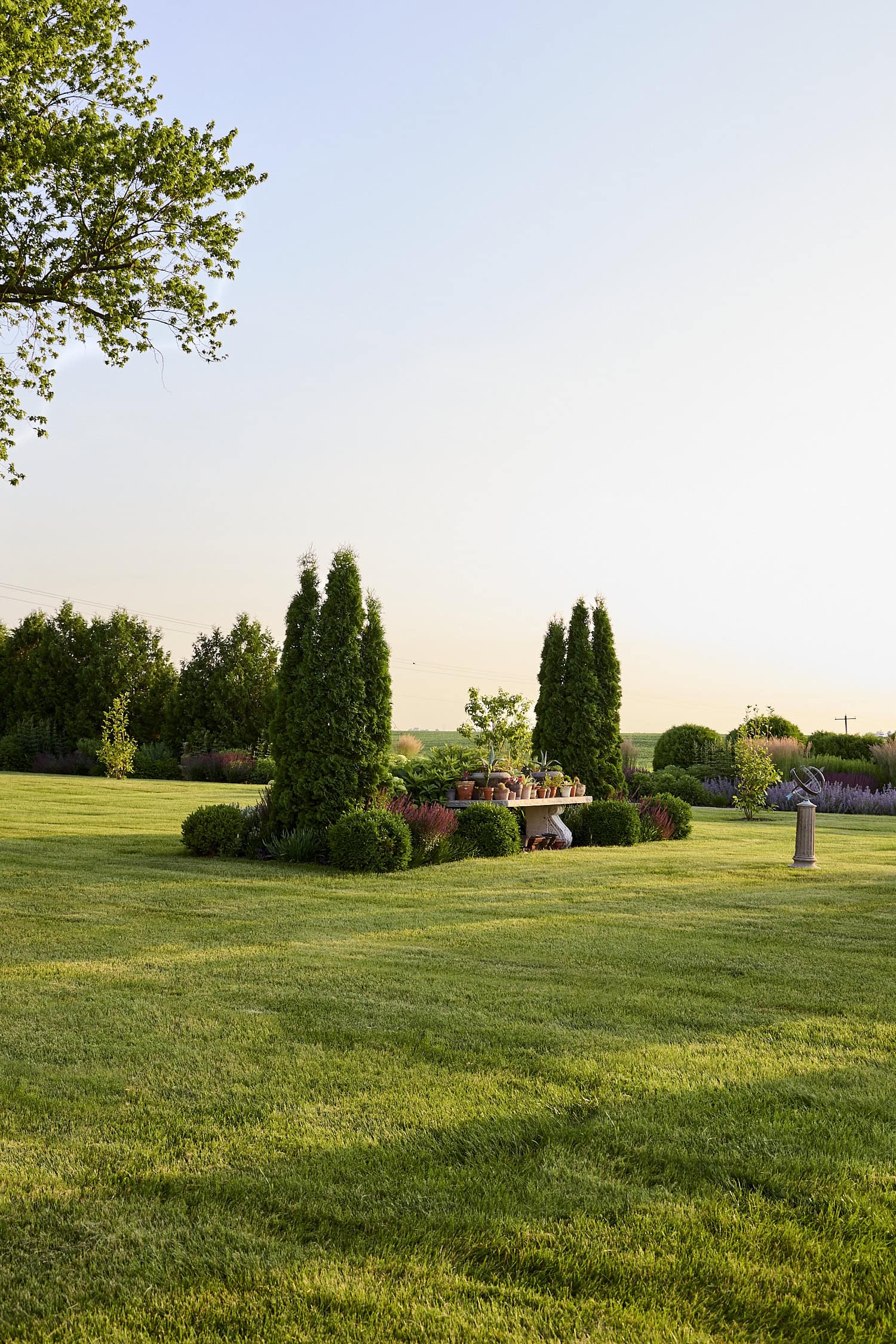 Shrubs and green grass in Zone 5b Iowa.