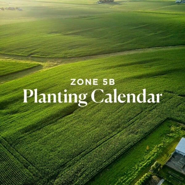 Green fields with text "zone 5b planting calendar".