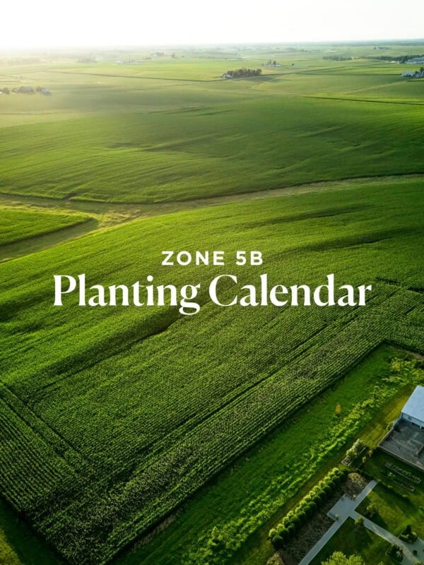 Green fields with text "zone 5b planting calendar".