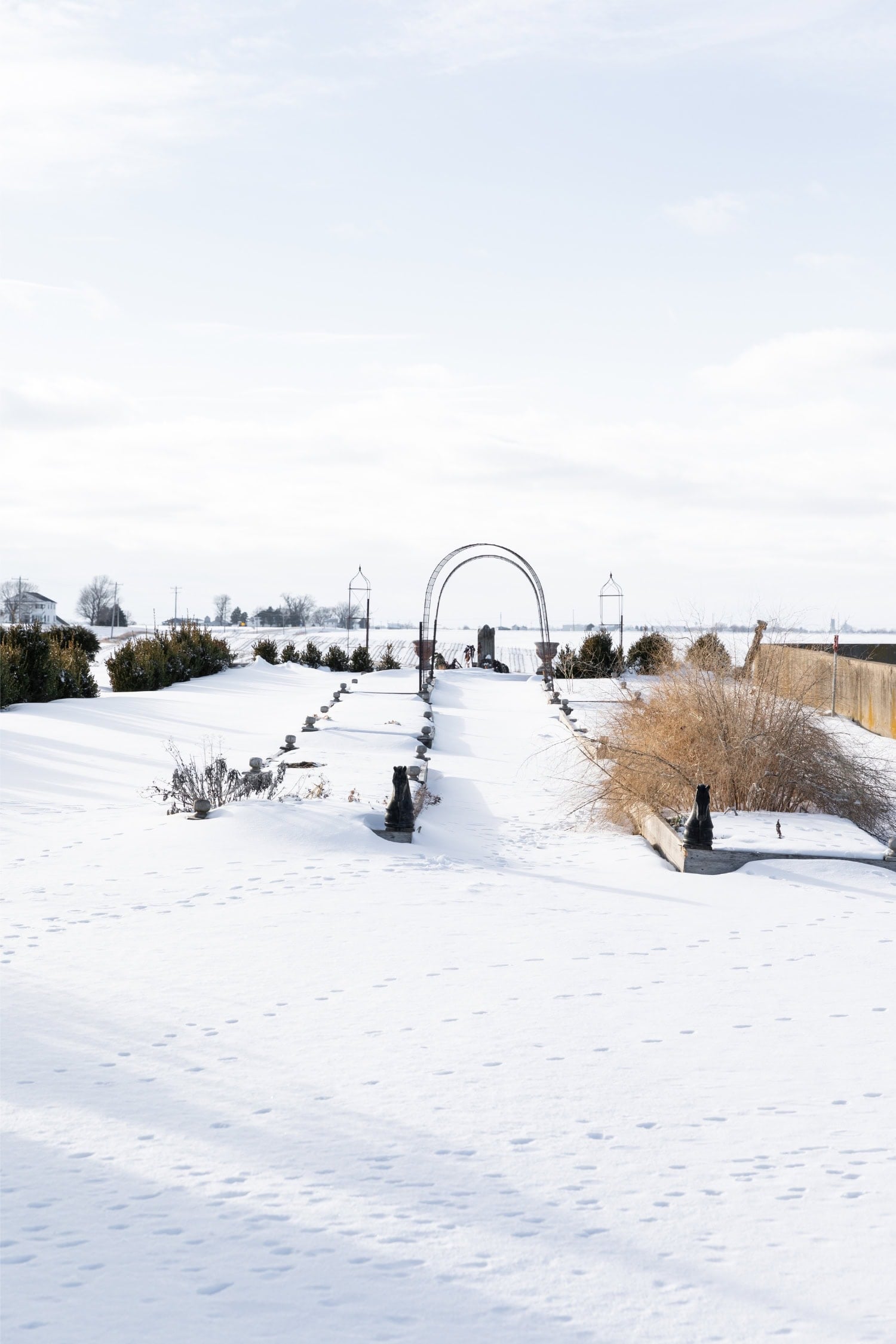 Winter snow in garden beds.
