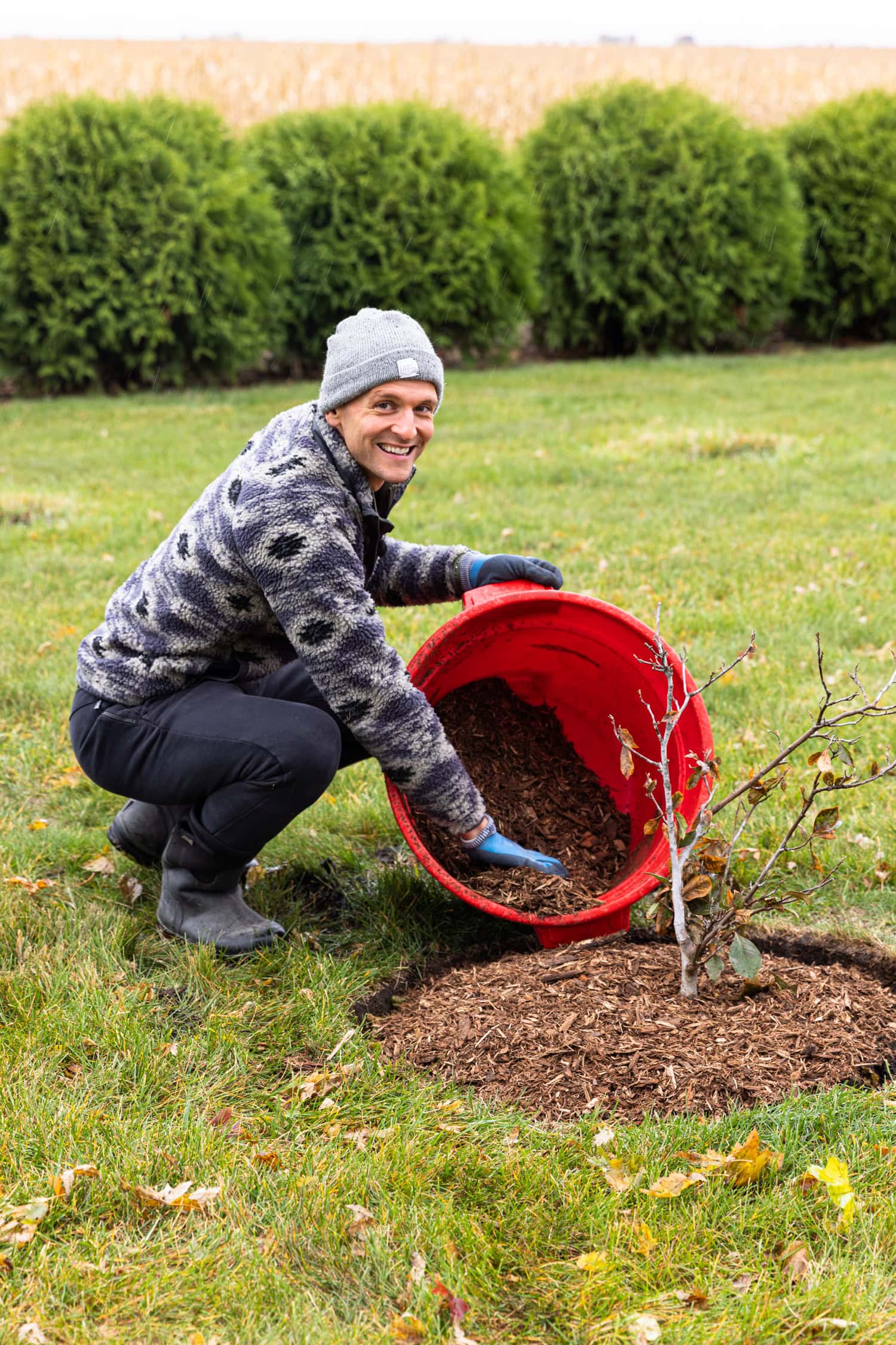 Adding mulch in the fall around a tree.