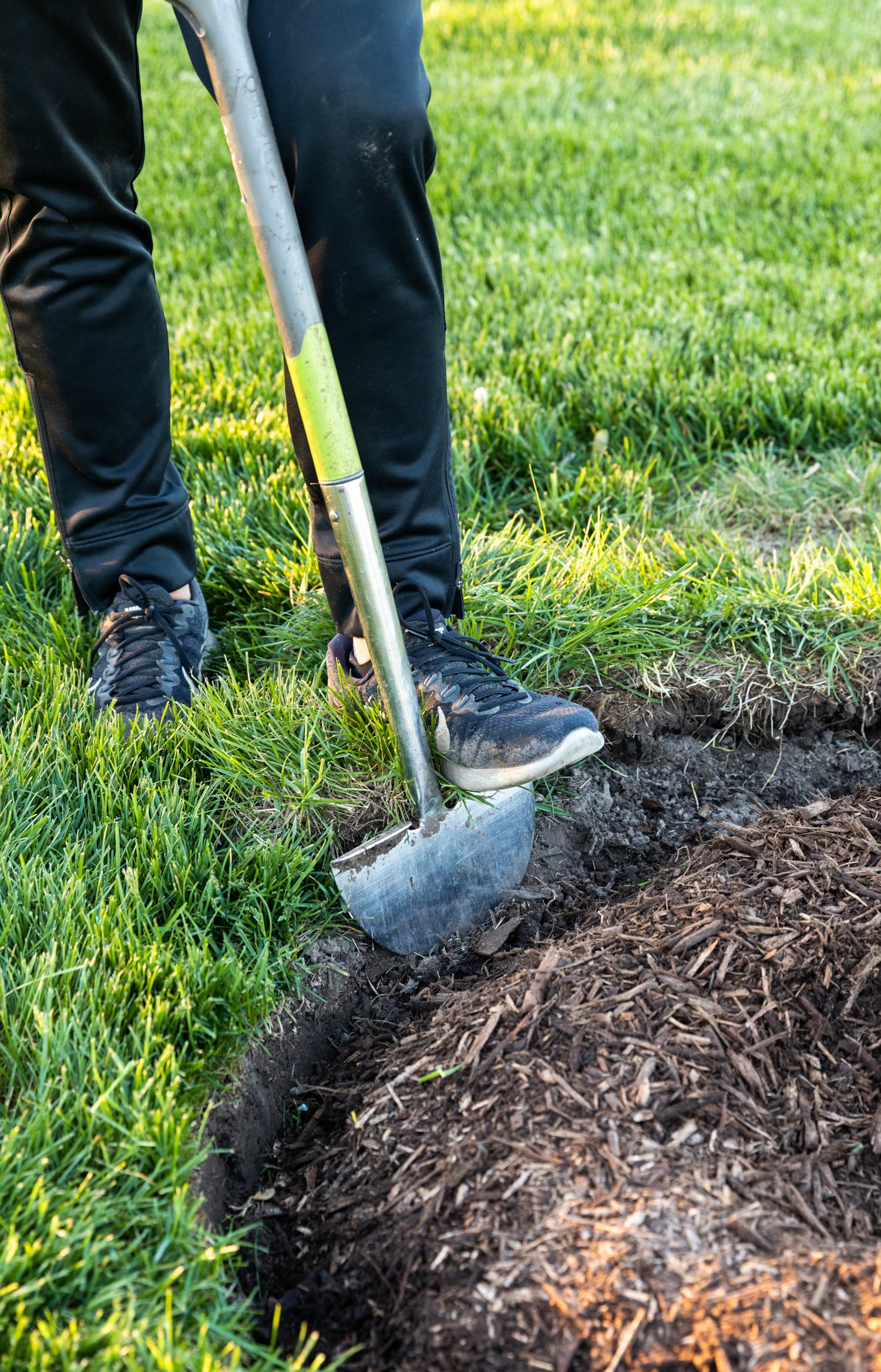 Using a stainless steel spade to edge around a tree before applying mulch.