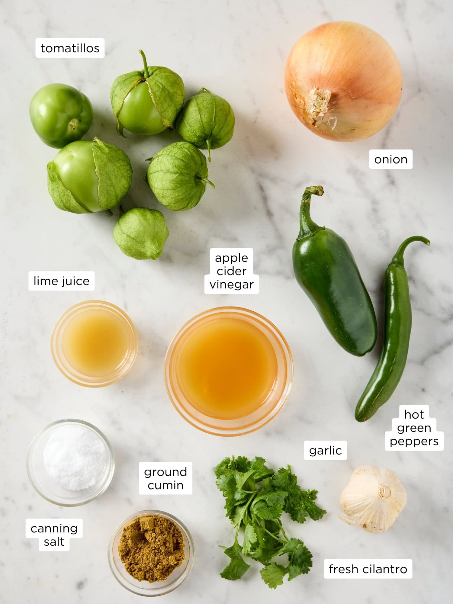 All ingredients needed to make tomatillo salsa verde recipe.